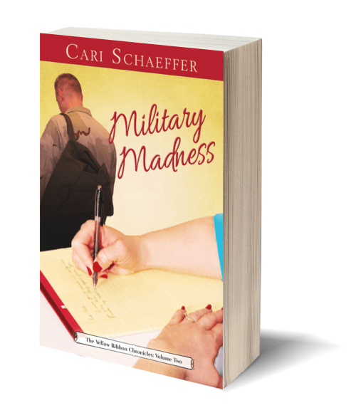 3DEBookMilitary_Madness