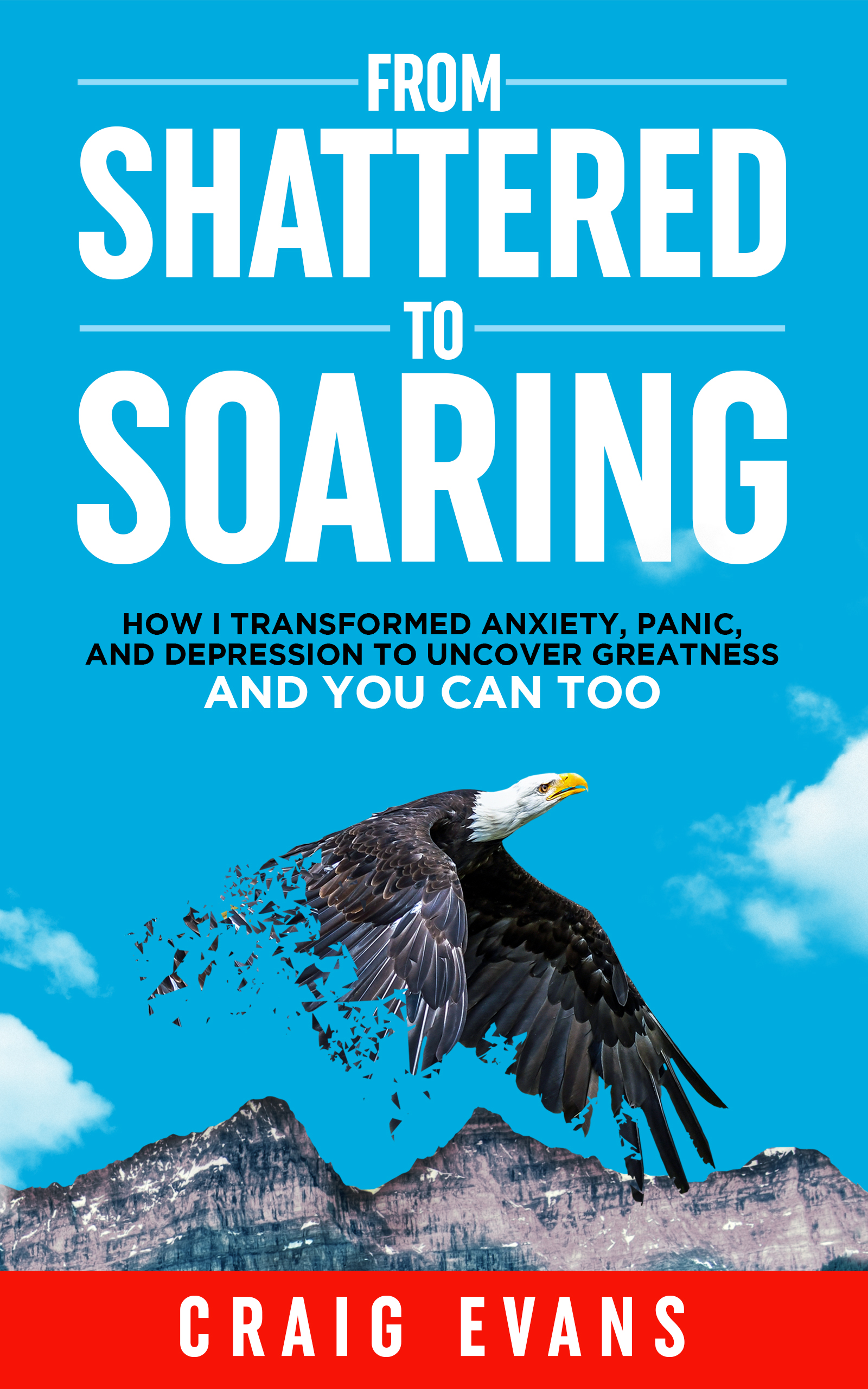 From Shattered To Soaring EBOOK