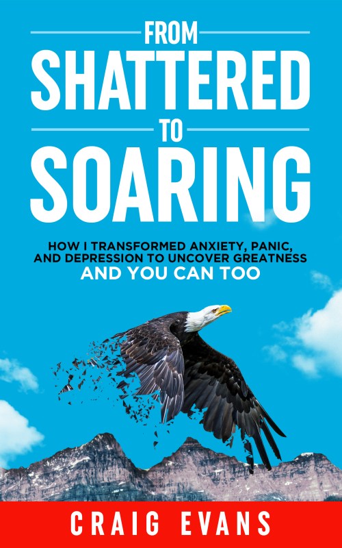 From Shattered To Soaring EBOOK